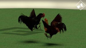 Cách Chơi Đá Gà Ảo V9bet Dành Cho Người Chơi Muốn Ăn Chắc